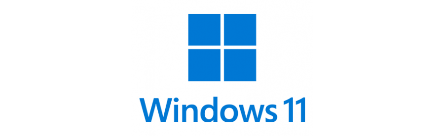 Windows 11 Professional 64 bit